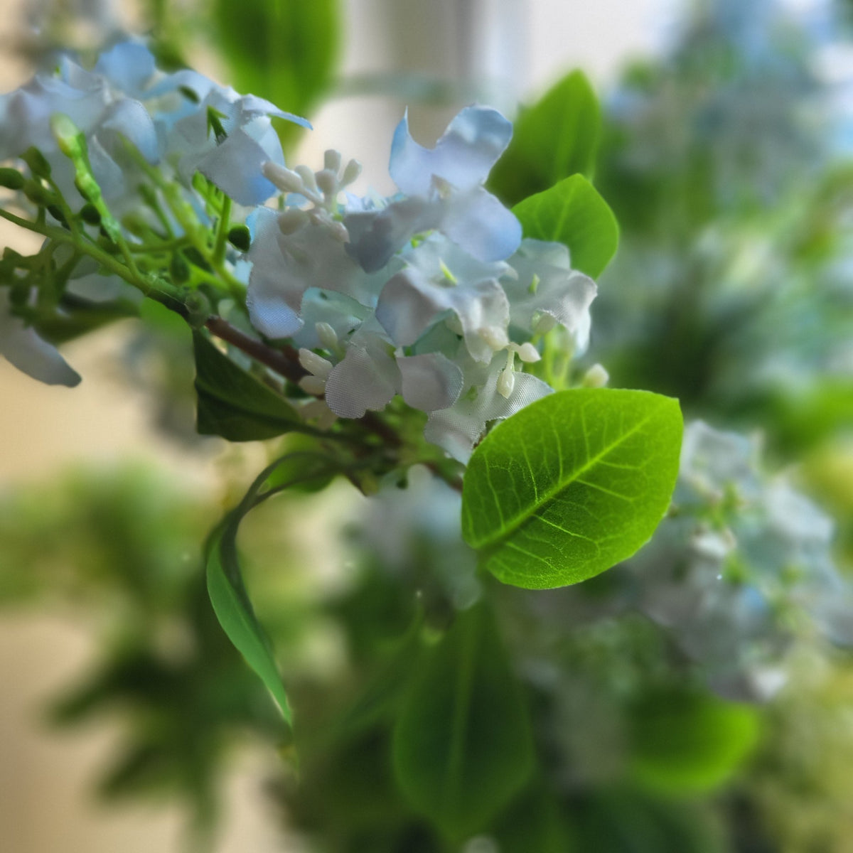 Artificial jasmine in light blue, one of the shades offered alongside cream and green, white and red