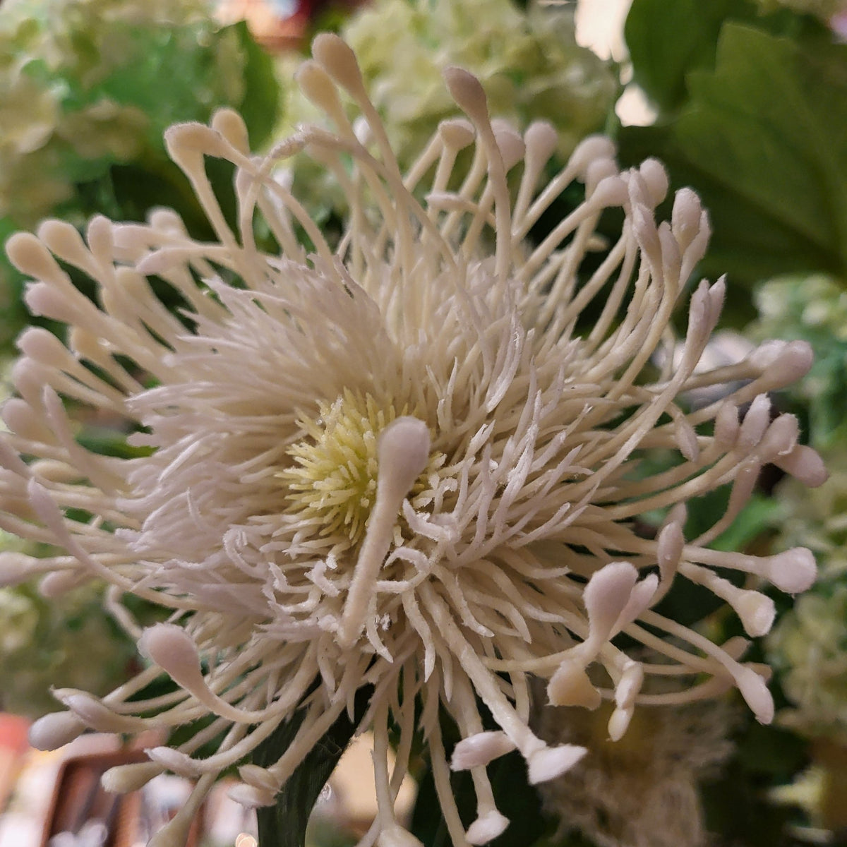 Lifelike artificial spider chrysanthemum with fine thin petals for vases and floral arrangements