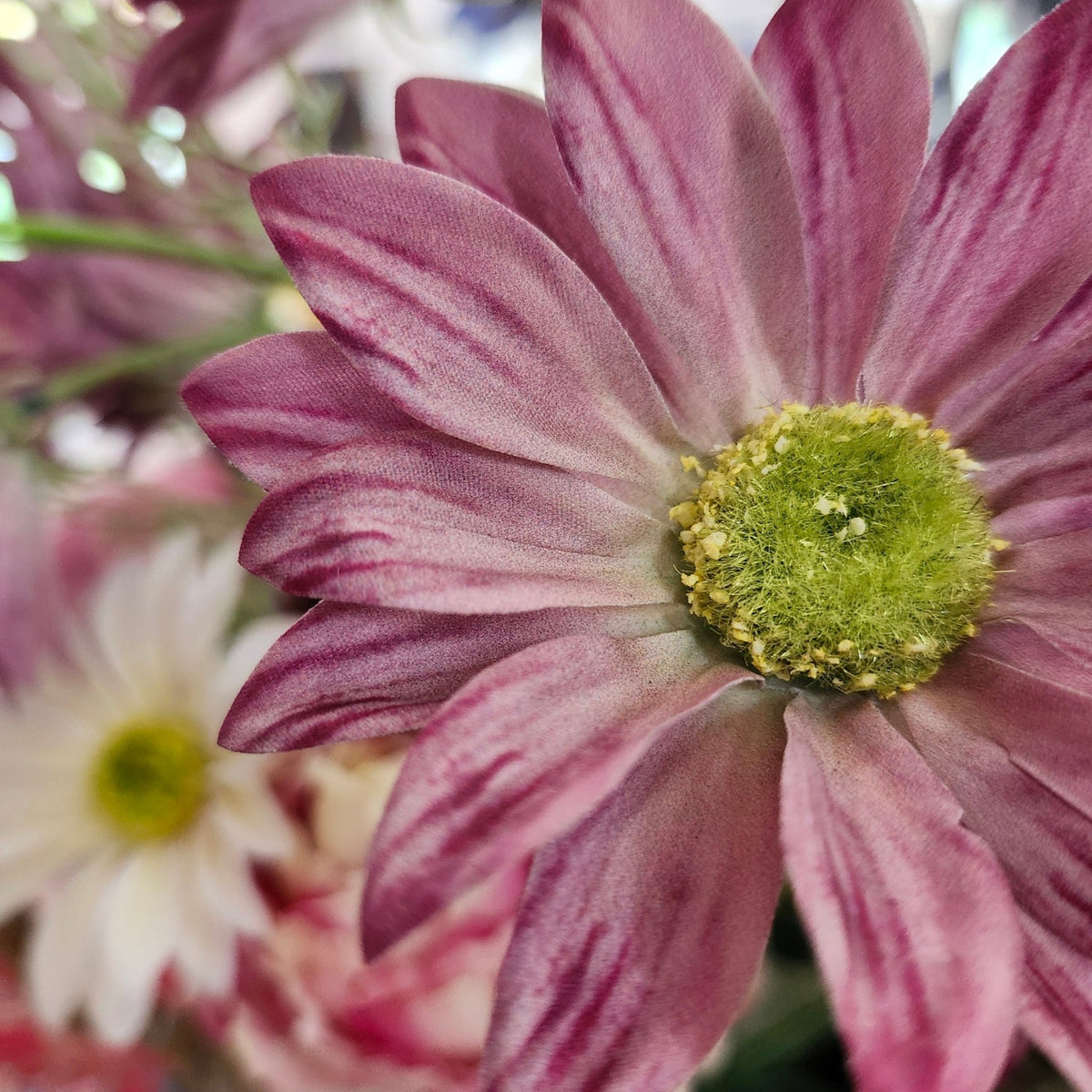 Artificial marguerite daisy in pink, lifelike enough to sit in a vase with real cut garden flowers too