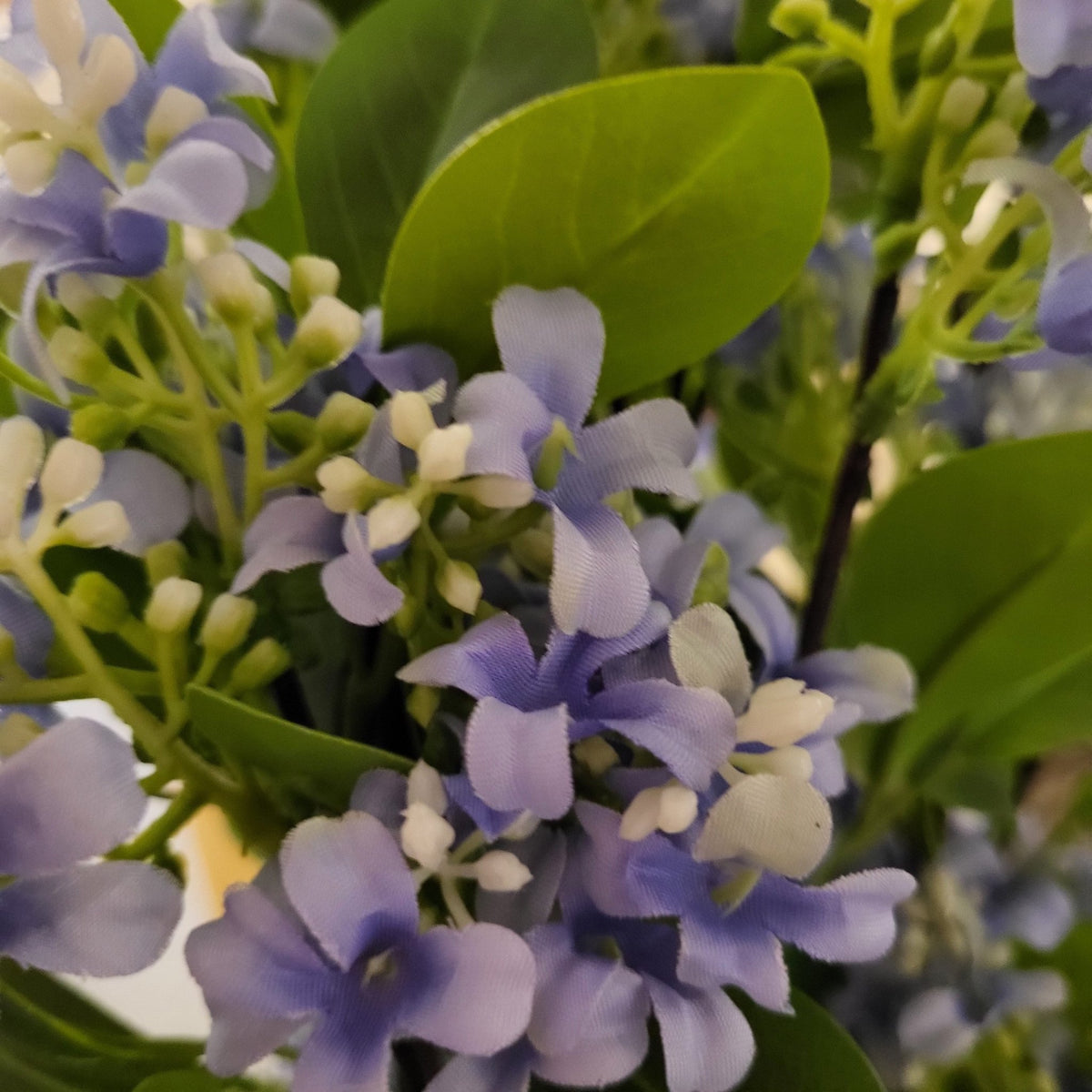 Artificial jasmine in blue, the delicate flowers close enough to real to pass at a glance in a vase or pot