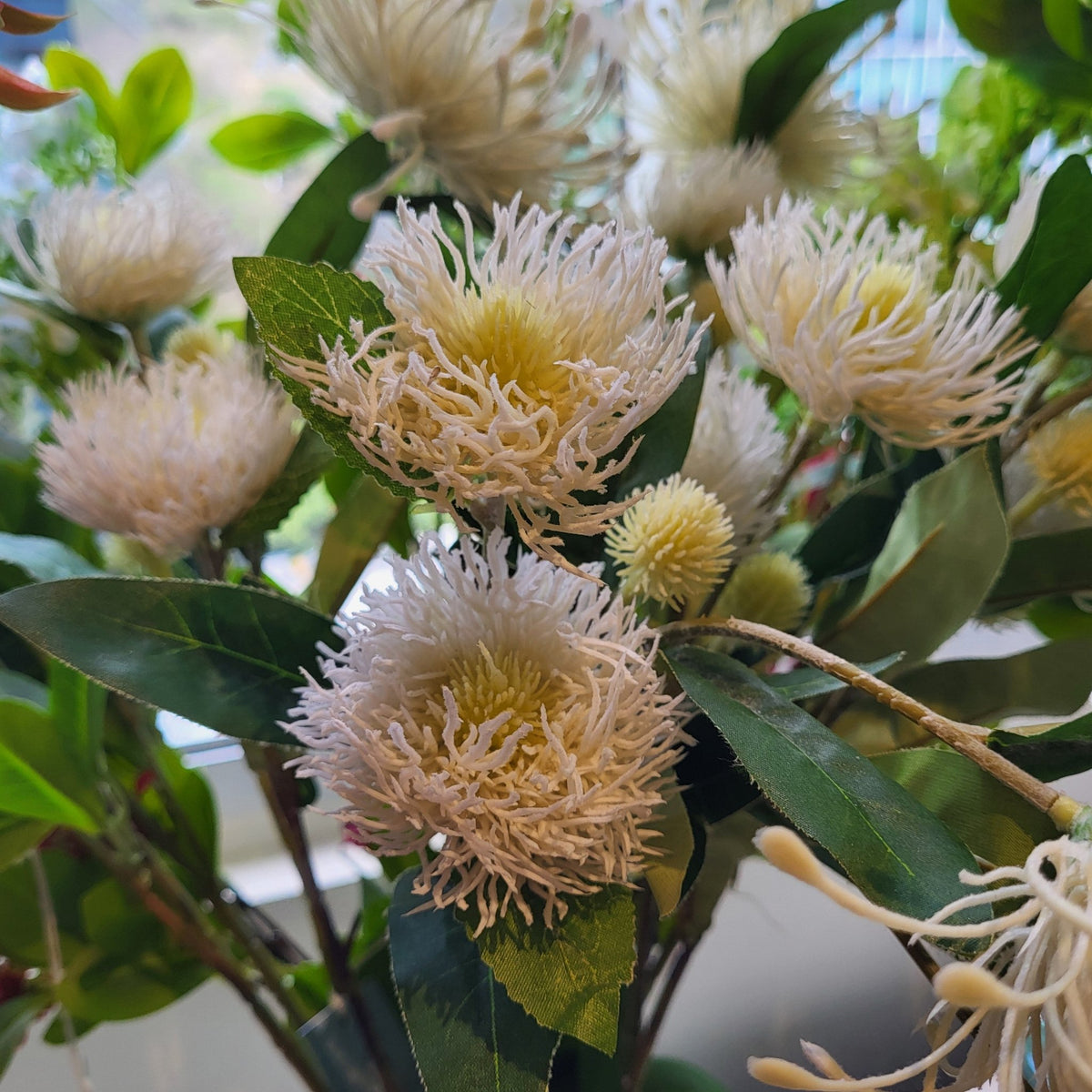 Close view of the thin petals on the cream artificial spider chrysanthemum, lifelike enough in a vase