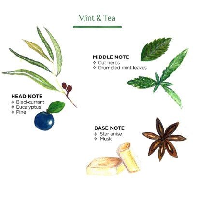 Scented Candle Cloche Mint & Tea: fragranced candle for home ambience, from Inside Living Singapore. Alternative angle.