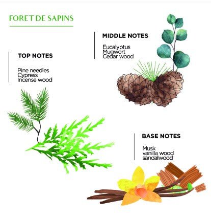 Sabra Gold pine forest scented candle, hand-poured with a fresh woodland fragrance, from Inside Living Singapore Front view.