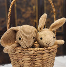 Seagrass basket from Inside Living Singapore. Shown alternative angle.