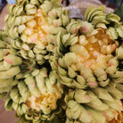 Artificial Flower Peony from Inside Living Singapore. Shown side view.