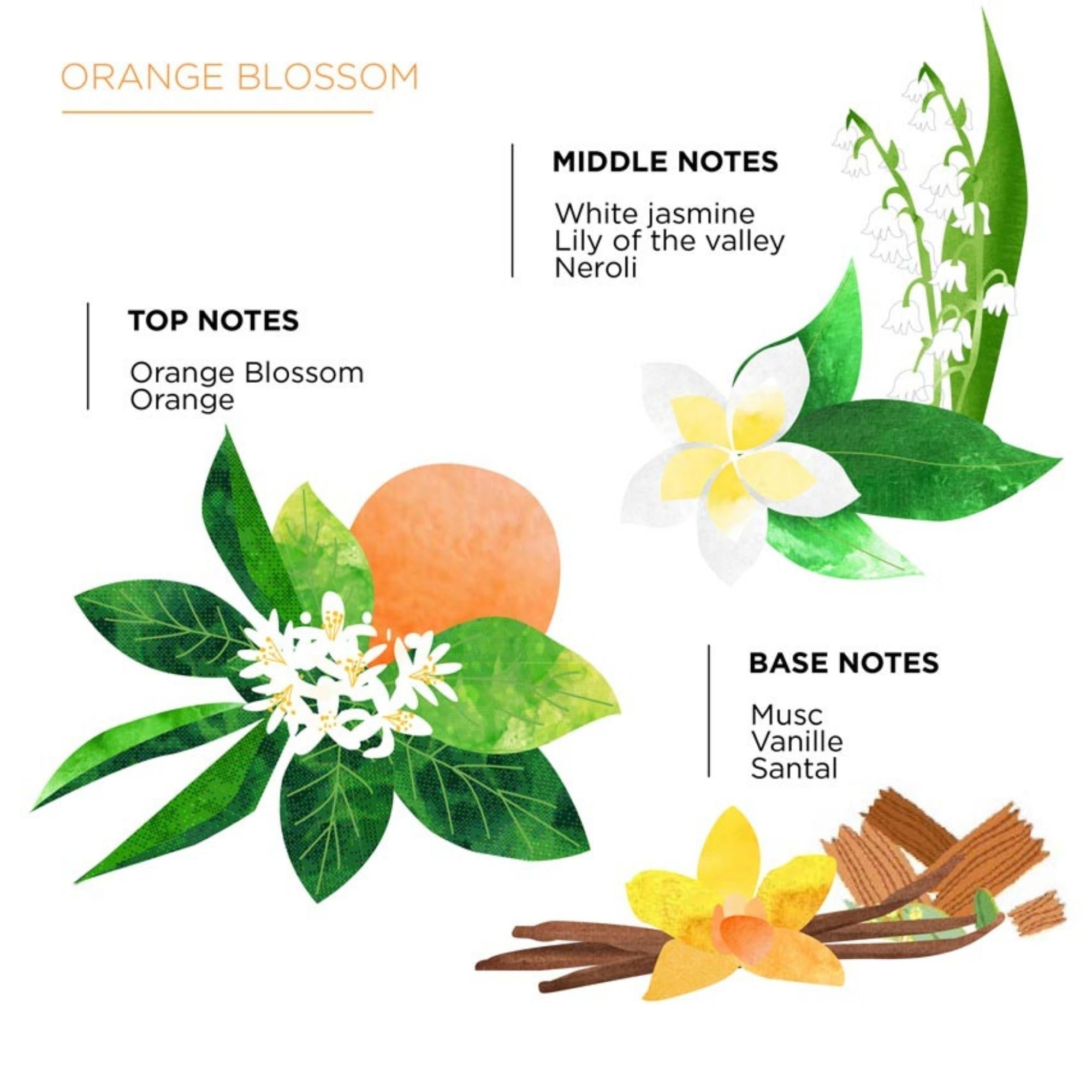 Scented Candle Sabra Nelia Orange Blossom XL from Inside Living Singapore. Alternate angle.